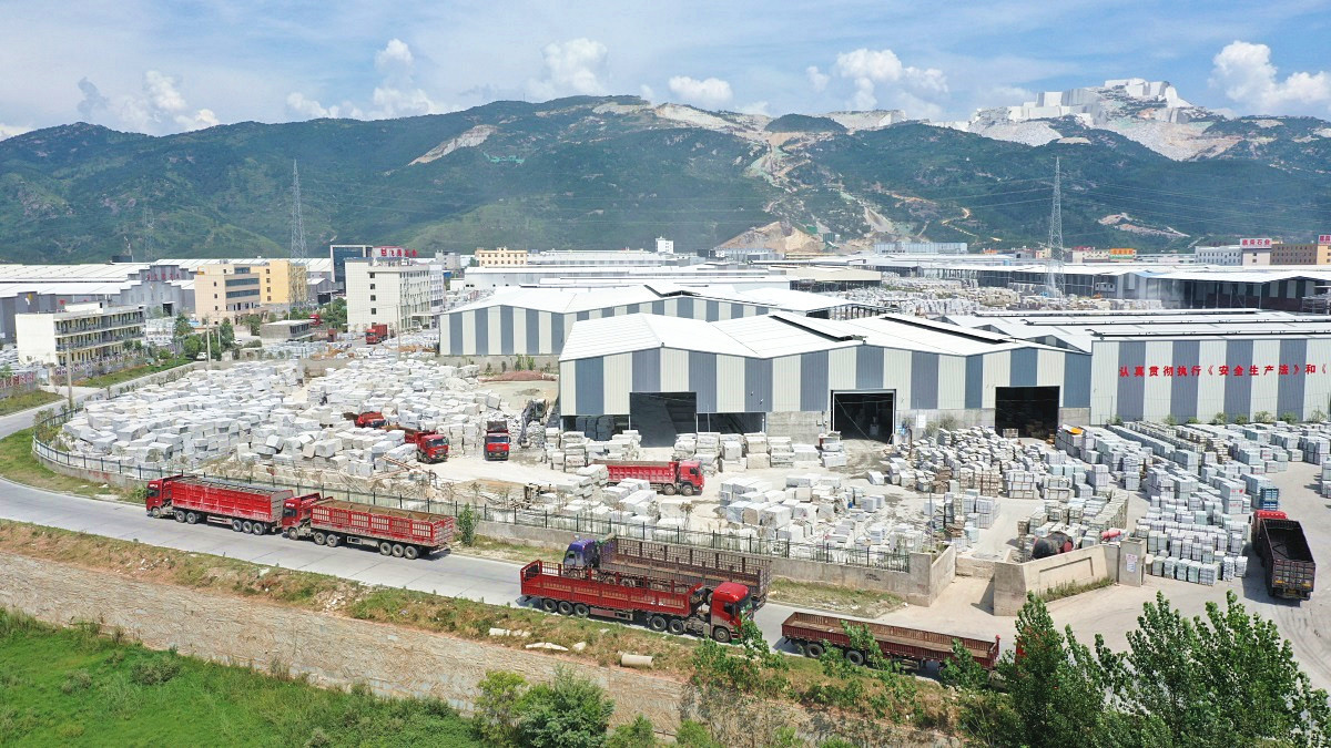 国内正规麻城芝麻白G603加工厂优质之选大揭秘